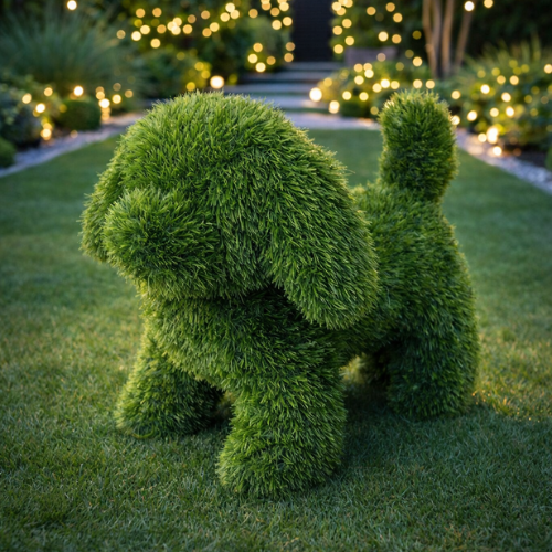 Wilfred